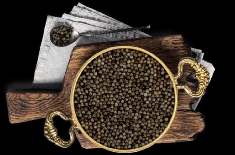 Premium Sturgeon Caviar 1.8 Ounces / 50 Grams, Imported, Premium Quality